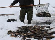 http://image.fhserv.ru/hunting/2012-04-44153df000ebd981d1c5ae242775ae70__rsu-1000-800.jpg